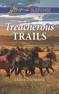 Dana Mentink Treacherous Trails обложка книги