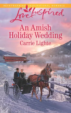 Carrie Lighte An Amish Holiday Wedding обложка книги