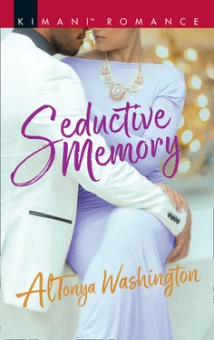 AlTonya Washington Seductive Memory обложка книги