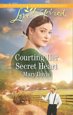 Mary Davis Courting Her Secret Heart обложка книги