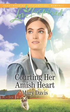 Mary Davis Courting Her Amish Heart обложка книги