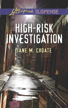 Jane M. Choate High-Risk Investigation обложка книги