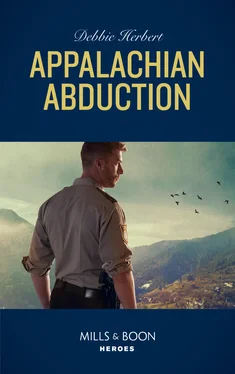 Debbie Herbert Appalachian Abduction обложка книги