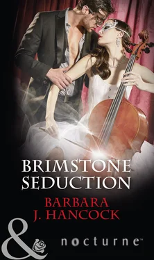 Barbara J. Hancock Brimstone Seduction обложка книги