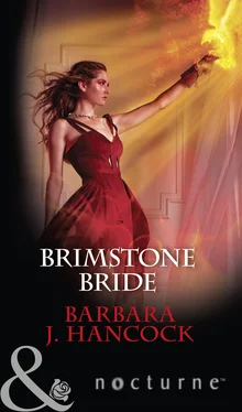 Barbara J. Hancock Brimstone Bride обложка книги