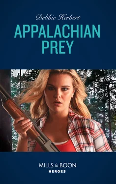 Debbie Herbert Appalachian Prey обложка книги