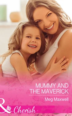 Meg Maxwell Mummy and the Maverick обложка книги