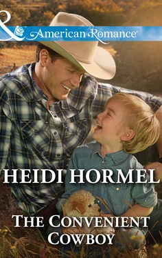Heidi Hormel The Convenient Cowboy обложка книги
