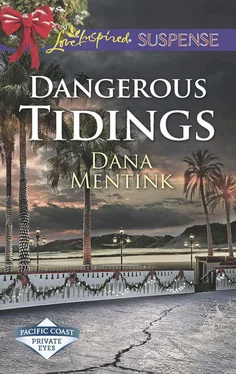 Dana Mentink Dangerous Tidings обложка книги