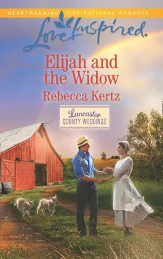 Rebecca Kertz Elijah And The Widow обложка книги