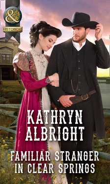 Kathryn Albright Familiar Stranger In Clear Springs обложка книги