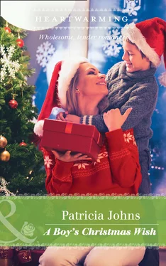 Patricia Johns A Boy's Christmas Wish обложка книги