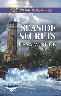 Dana Mentink Seaside Secrets обложка книги
