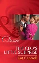 Kat Cantrell - The Ceo's Little Surprise