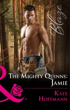 Kate Hoffmann The Mighty Quinns: Jamie обложка книги