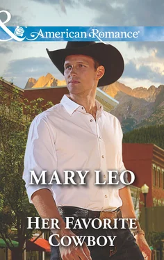 Mary Leo Her Favorite Cowboy обложка книги