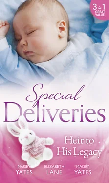 Elizabeth Lane Special Deliveries: Heir To His Legacy обложка книги