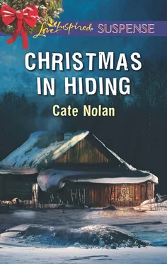 Cate Nolan Christmas In Hiding обложка книги