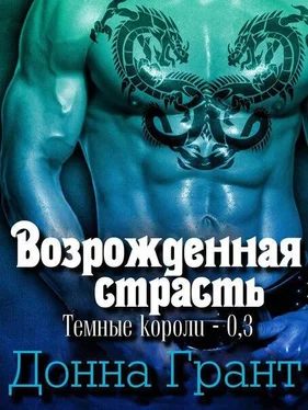 Донна Грант Возрожденная страсть обложка книги