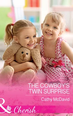Cathy Mcdavid The Cowboy's Twin Surprise обложка книги