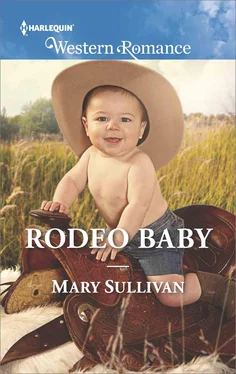 Mary Sullivan Rodeo Baby обложка книги