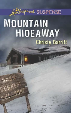 Christy Barritt Mountain Hideaway обложка книги