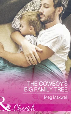 Meg Maxwell The Cowboy's Big Family Tree обложка книги