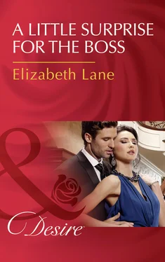 Elizabeth Lane A Little Surprise For The Boss обложка книги
