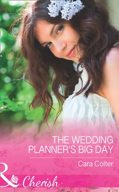 Cara Colter The Wedding Planner's Big Day обложка книги