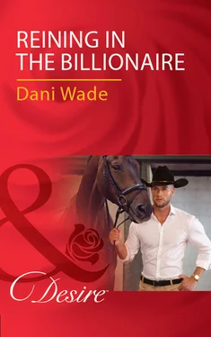 Dani Wade Reining In The Billionaire обложка книги