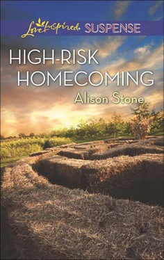 Alison Stone High-Risk Homecoming обложка книги