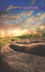 Alison Stone - High-Risk Homecoming