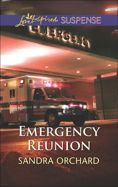 Sandra Orchard Emergency Reunion обложка книги