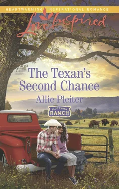 Allie Pleiter The Texan's Second Chance обложка книги