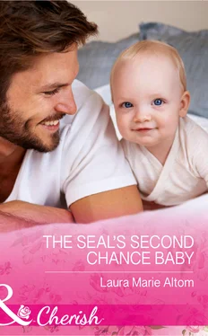 Laura Marie The Seal's Second Chance Baby обложка книги