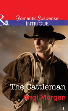 Angi Morgan The Cattleman обложка книги