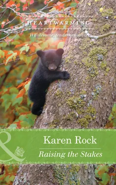 Karen Rock Raising the Stakes обложка книги