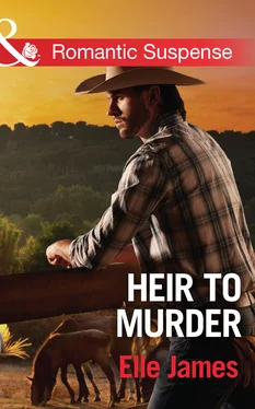 Elle James Heir to Murder обложка книги