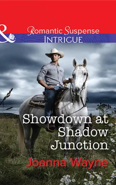 Joanna Wayne Showdown at Shadow Junction обложка книги