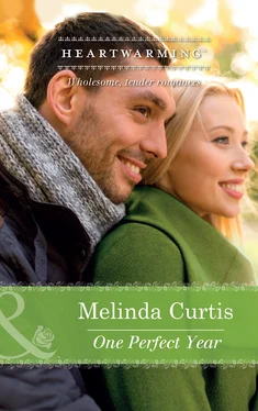 Melinda Curtis One Perfect Year обложка книги