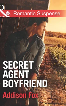 Addison Fox Secret Agent Boyfriend обложка книги