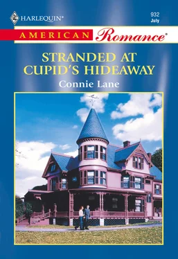 Connie Lane Stranded At Cupid's Hideaway обложка книги