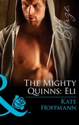 Kate Hoffmann - The Mighty Quinns - Eli