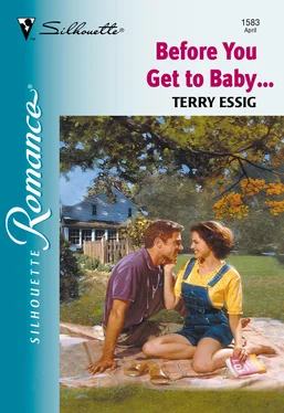 Terry Essig Before You Get To Baby... обложка книги