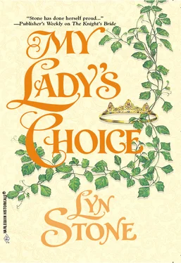 Lyn Stone My Lady's Choice обложка книги