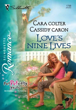 Cara/Cassidy Colter/Caron Love's Nine Lives обложка книги