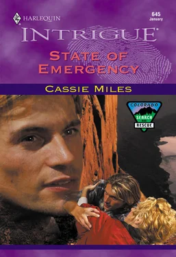 Cassie Miles State Of Emergency обложка книги
