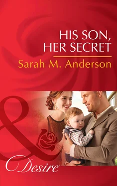 Sarah M. Anderson His Son, Her Secret обложка книги