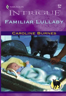 Caroline Burnes Familiar Lullaby обложка книги