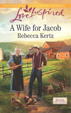 Rebecca Kertz A Wife for Jacob обложка книги